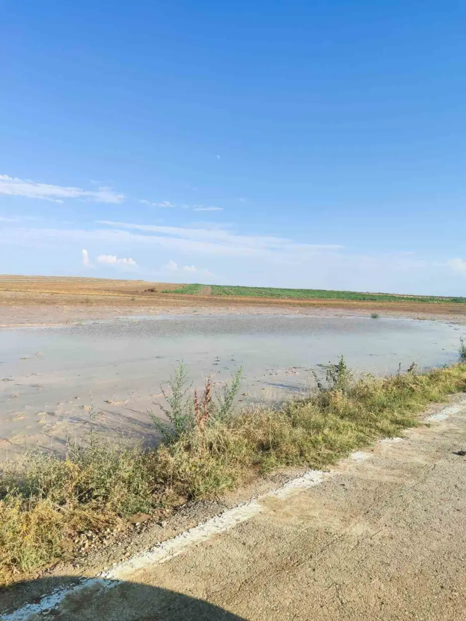 Beypazarı’nda sağanak yağış tarlalara zarar verdi
