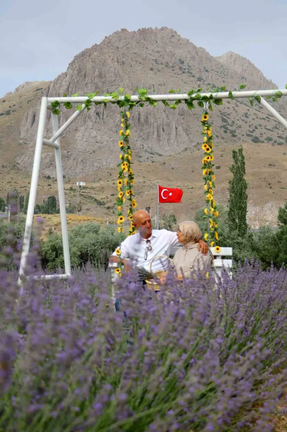 Âşık olduğu dağın eteğine lavanta bahçesi kurdu, kartpostallık görüntüler oluştu