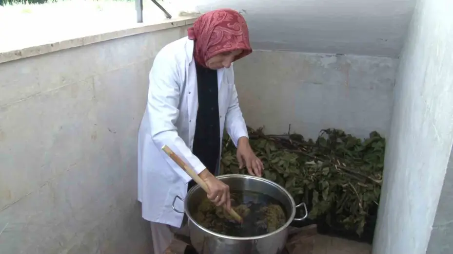 Unutulmaya yüz tutmuş boyamacılık geleneksel yöntemlerle yapılıyor, doğanın renkleri yeniden hayat buluyor