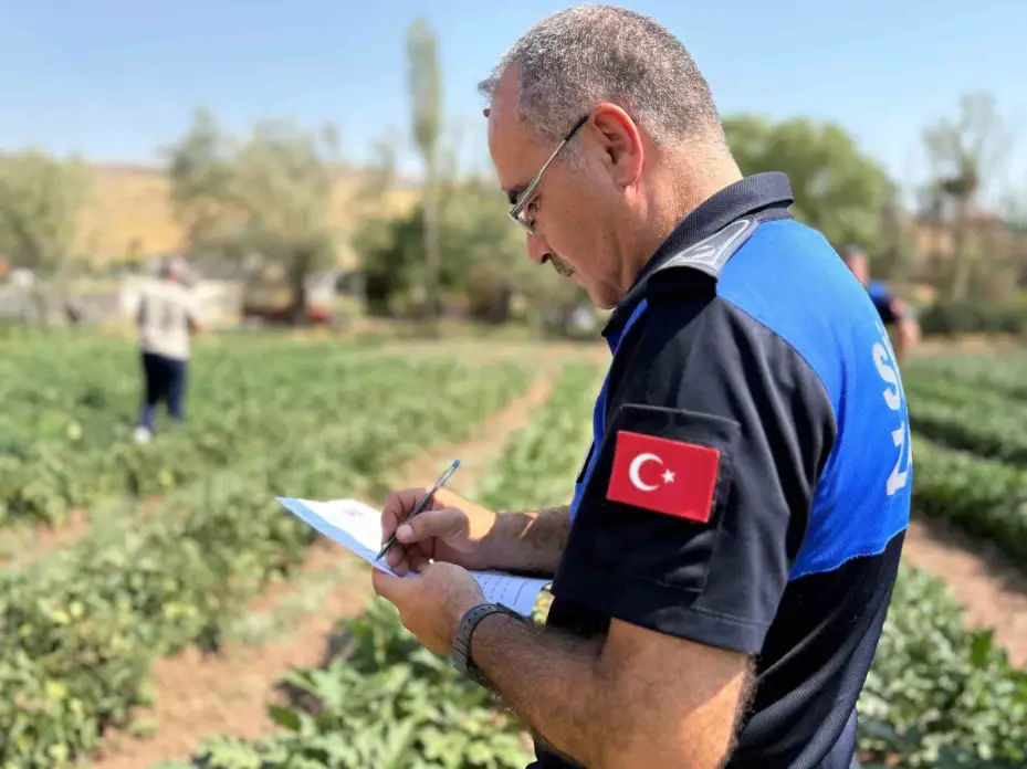 Sincan Belediyesi üretici köylü pazarları hizmette