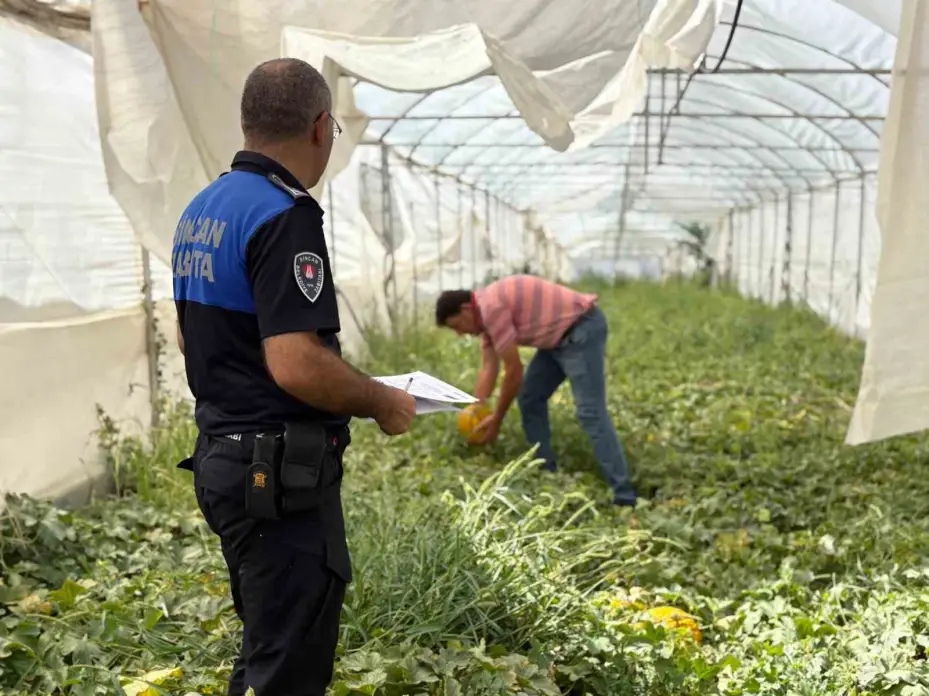 Sincan Belediyesi üretici köylü pazarları hizmette