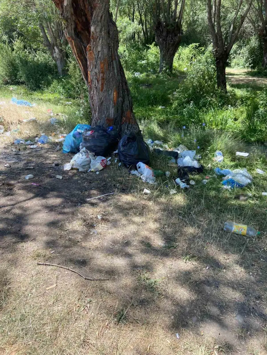 Piknikçiler, Kurtboğazı Barajı’na bağlanan dereleri çöplüğe çevirdi