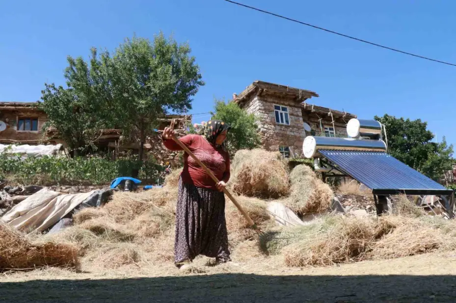 Konya’da geleneksel düvenle saman üretimi sürdürülüyor
