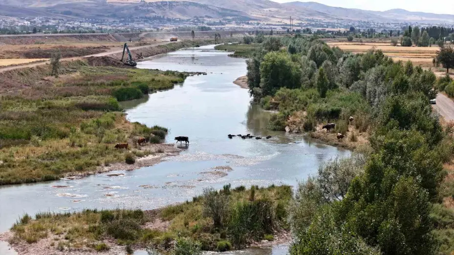Serengeti düzlüğü değil Sivas bozkırı