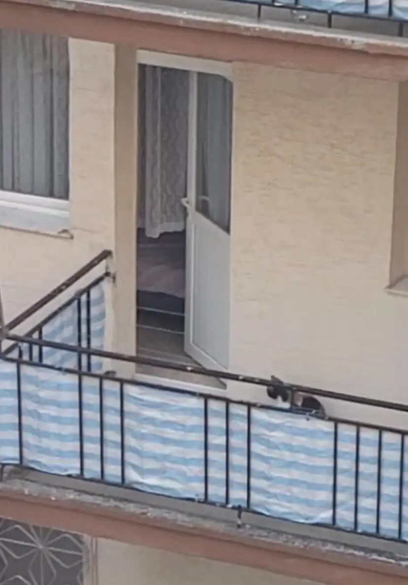 Kedinin balkona mahkum edildiği iddiası polisi harekete geçirdi