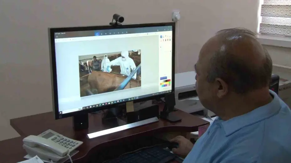 Gelişigüzel yapılan ilaçlamalar kene patlamasına neden olabilir