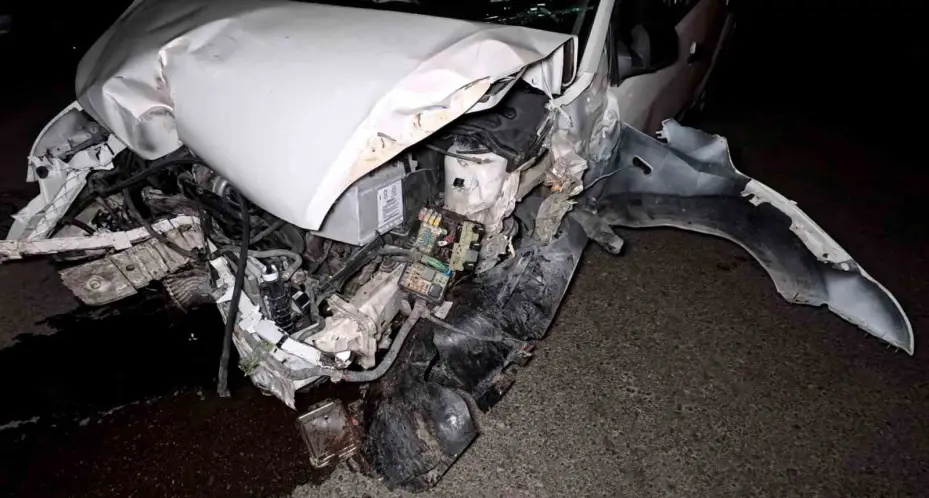 Kontrolden çıkan otomobil ağacı ve direği devirdi, sürücü kaçtı