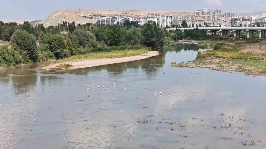 Türkiye’nin en uzun nehrinde kuraklık alarmı