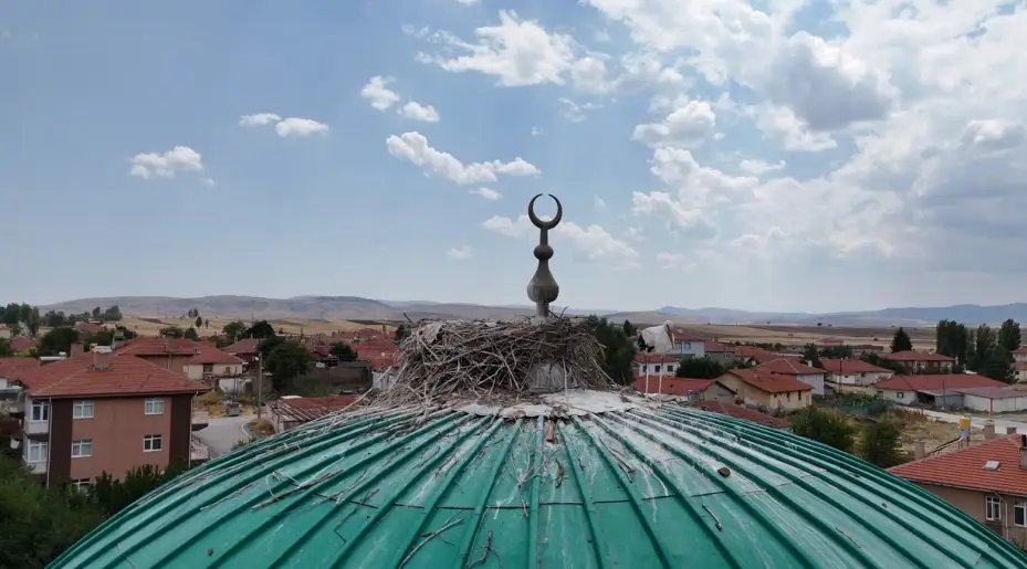 Bu caminin kubbesi yıllardır leyleklere ev sahipliği yapıyor