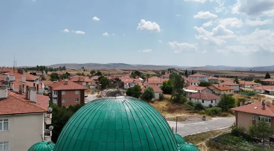 Bu caminin kubbesi yıllardır leyleklere ev sahipliği yapıyor