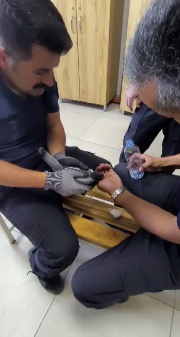 Sivas’ta klima havalandırmasına sıkışan güvercini itfaiye kurtardı