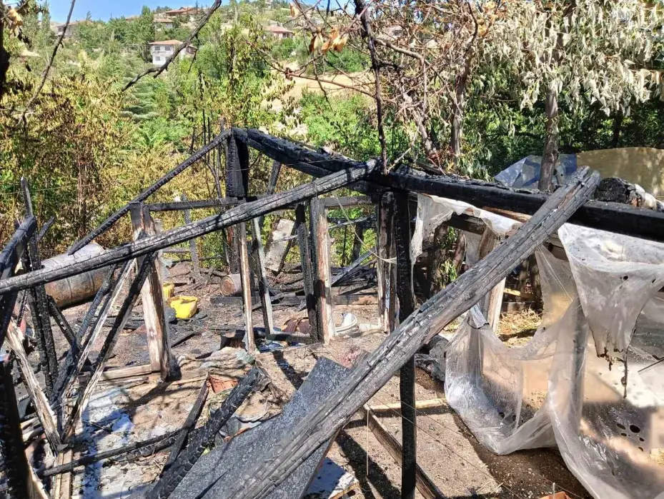 Ankara’da çıkan yangında 33 kanatlı hayvan telef oldu