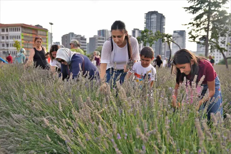 Başkentliler Keçiören’deki lavanta festivaline akın etti