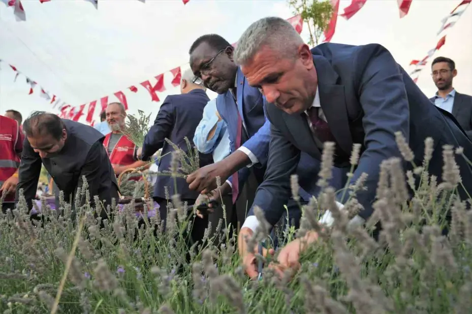 Başkentliler Keçiören’deki lavanta festivaline akın etti