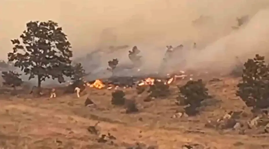 Aksaray’da ağaçlık alanda yangın