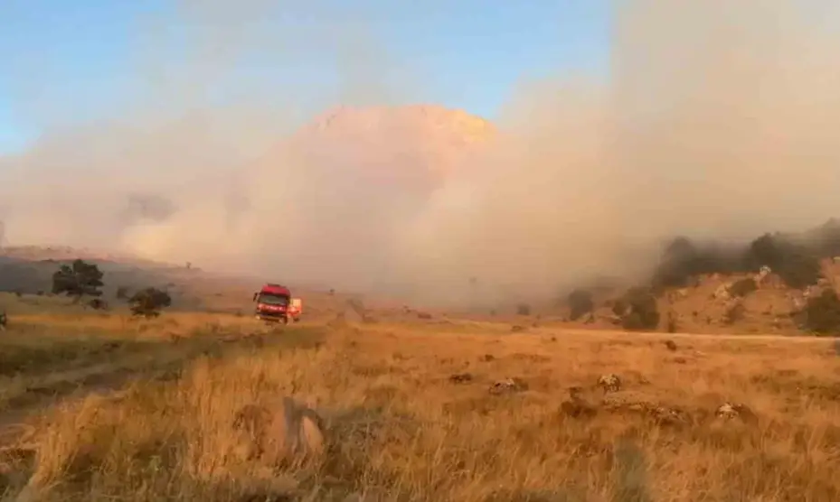 Aksaray’da ağaçlık alanda yangın
