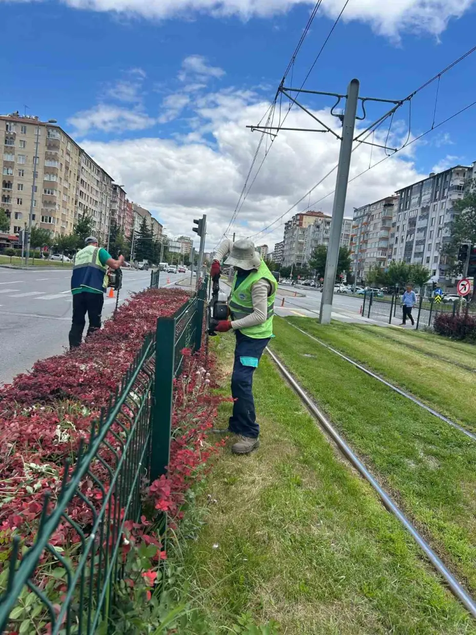 Daha yeşil Kayseri için çalışmalar sürüyor