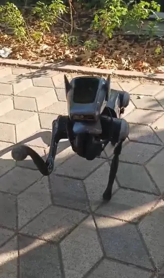 Kent merkezindeki robot köpek görenleri hayrete düşürdü