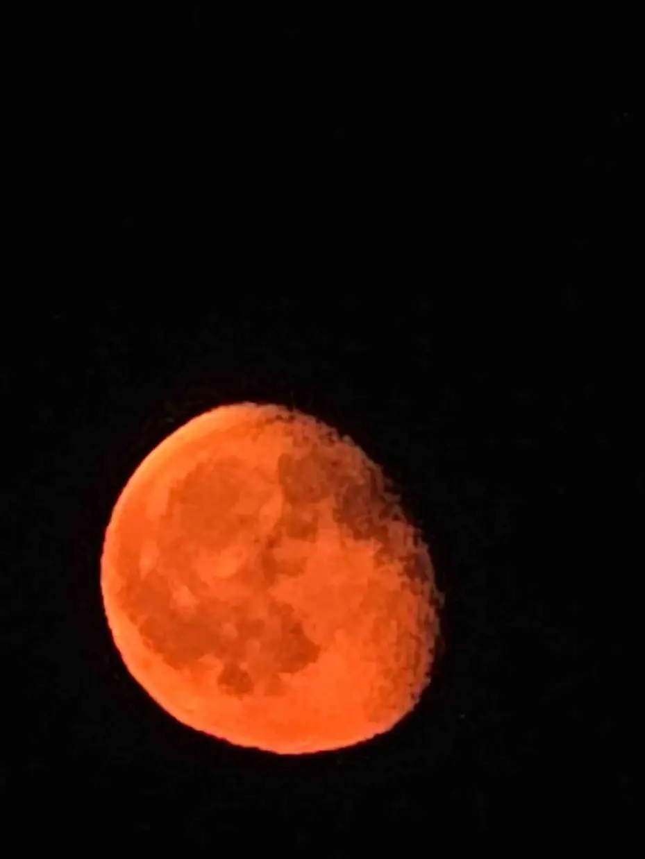 Dorlion Arama Kurtarma ekibi meteor yağmurunu zirveden izledi