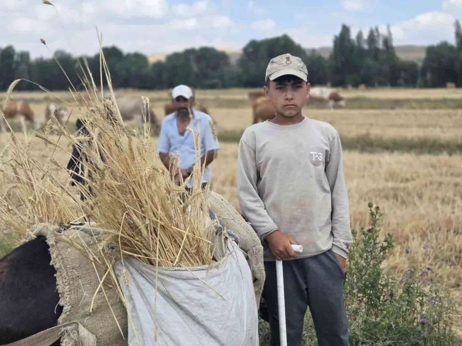 Baktığı hayvanların huyuna ve desenine göre isim veriyor