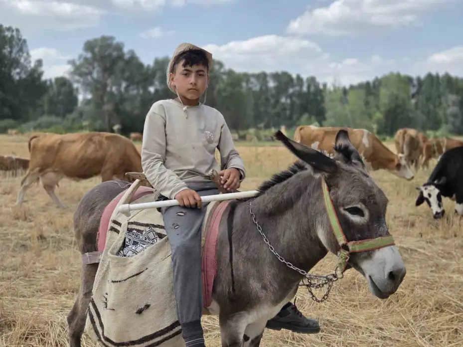 Baktığı hayvanların huyuna ve desenine göre isim veriyor