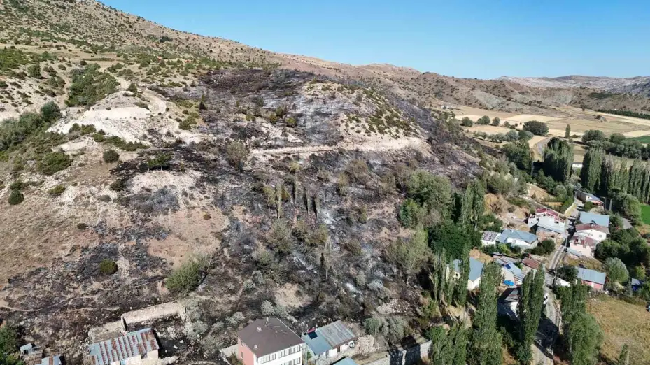 Sivas’ta ağaçlık alanda yangın çıktı, ekiplerin müdahalesi sürüyor