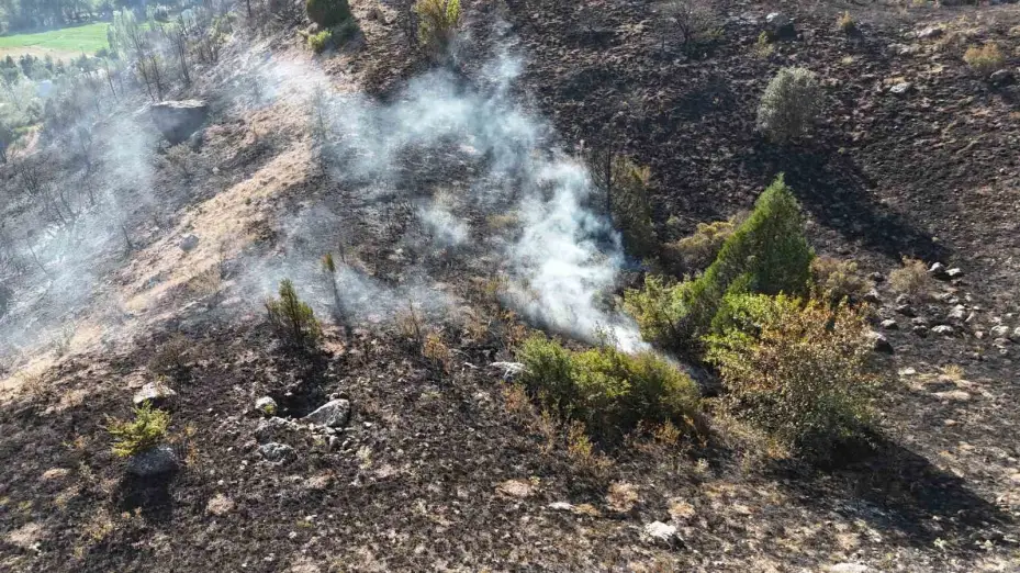 Sivas’ta ağaçlık alanda yangın çıktı, ekiplerin müdahalesi sürüyor