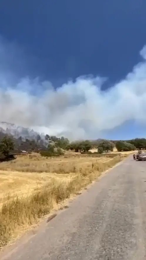 Sivas’ta ağaçlık alanda yangın çıktı, ekiplerin müdahalesi sürüyor
