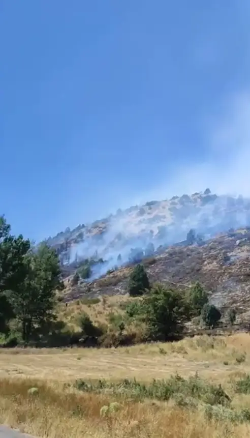 Sivas’ta ağaçlık alanda yangın çıktı, ekiplerin müdahalesi sürüyor
