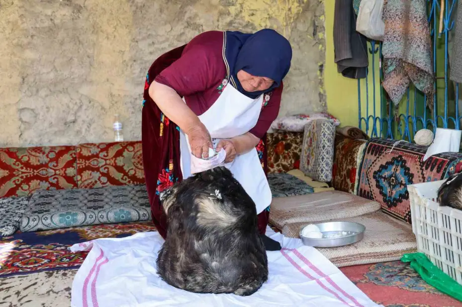 Tulum peynirinin mağaradaki lezzet yolculuğu devam ediyor