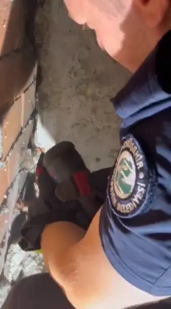 Anne kedi ve 4 yavrusu sıkıştıkları yerden kurtarıldı