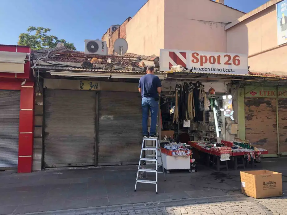 Eskişehir’de esnaf hergün çatıya tırmanıp kedileri besliyor