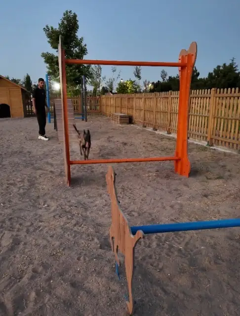 Proteo Köpek Eğitim Parkuru’na tam not