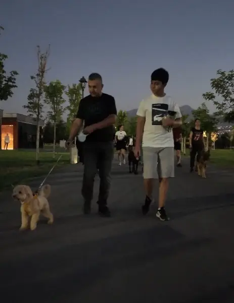 Proteo Köpek Eğitim Parkuru’na tam not