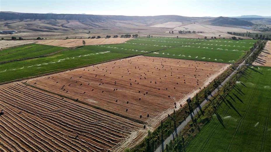 Görüntüsüyle kartpostalları andırıyor, 7 bin dekar alanda çalışmalar sürüyor