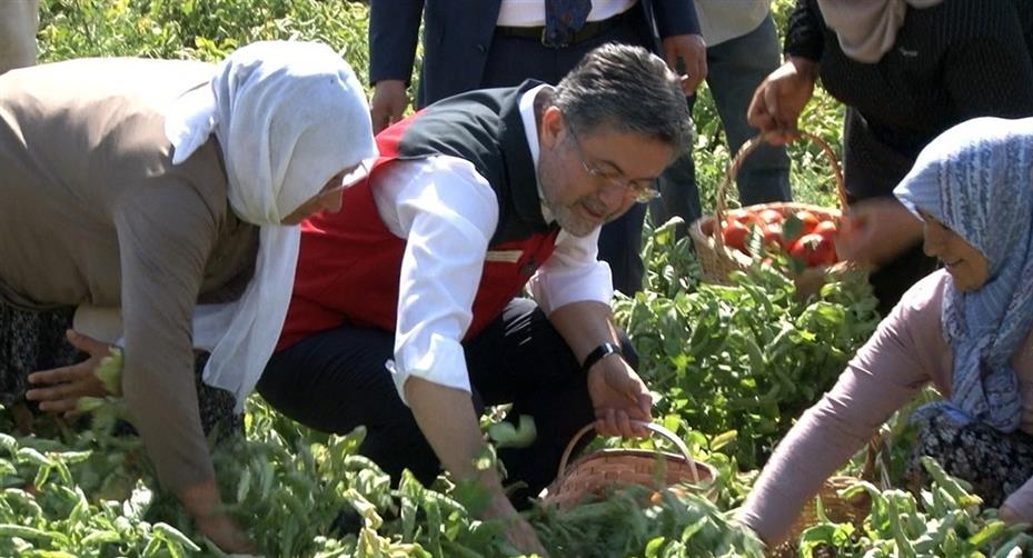 Bakan Yumaklı: "Türkiye domates üretiminde dünyada 3’üncü sırada"