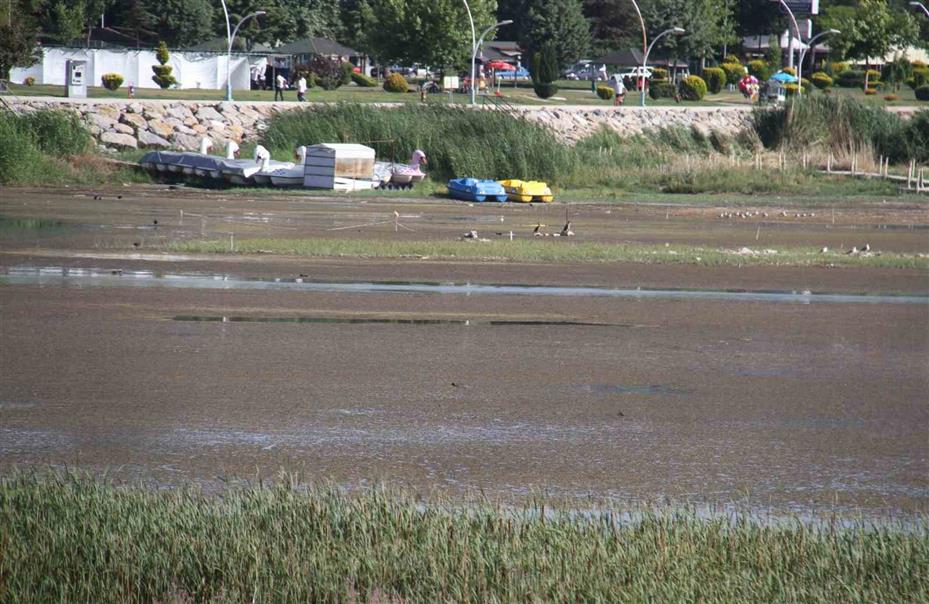 Beyşehir Gölü’nde sular çekildi, yeni adalar ortaya çıktı