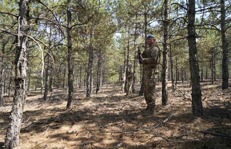 Orman yangınına karşı jandarma komandoların gözü yeşil doğada