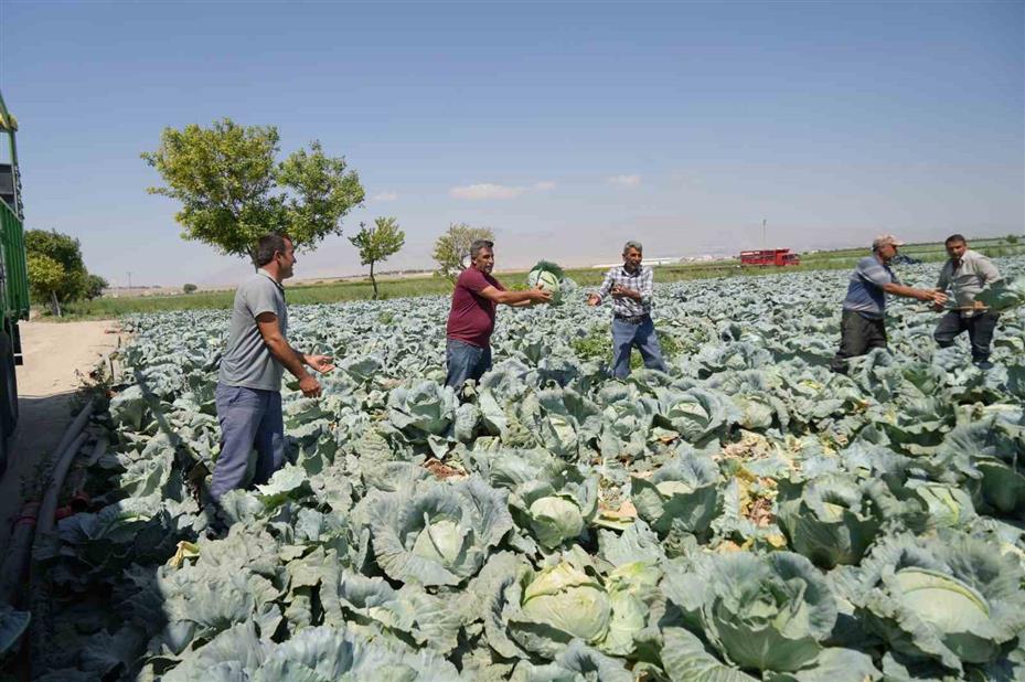 Niğde tarımı turizme açılıyor