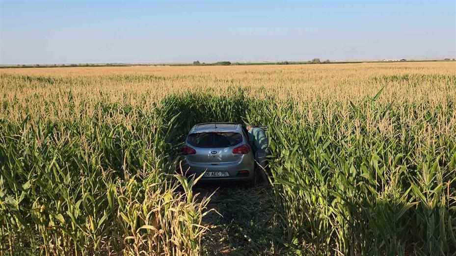 Aksaray’da kazada iki otomobil mısır tarlasına savruldu: 7 yaralı