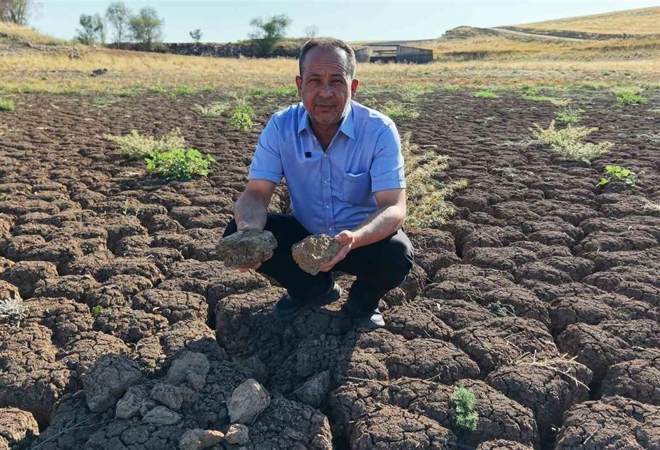 Sular çekildi, kuraklık göleti çorak araziye dönüştürdü