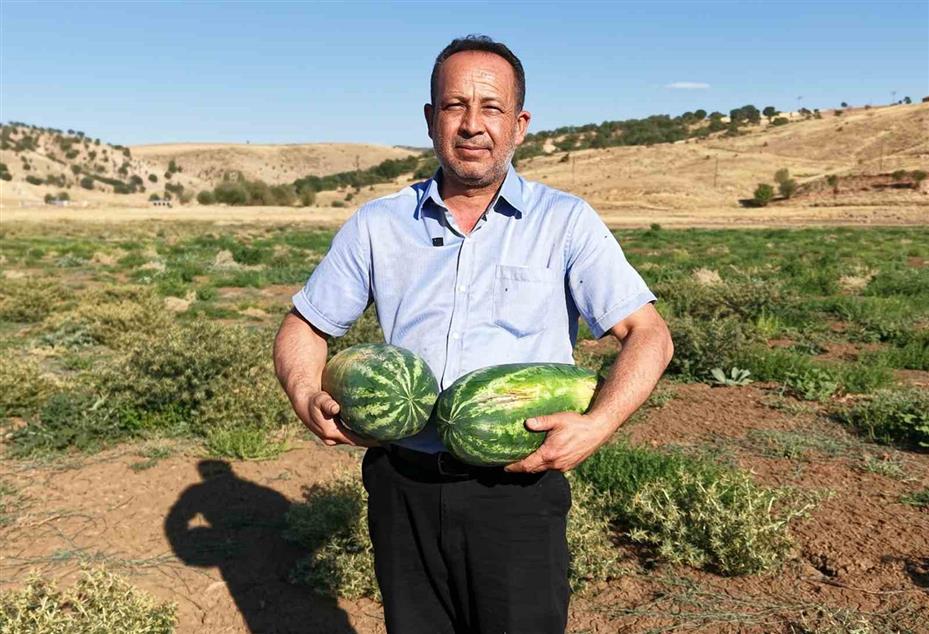 Sular çekildi, kuraklık göleti çorak araziye dönüştürdü