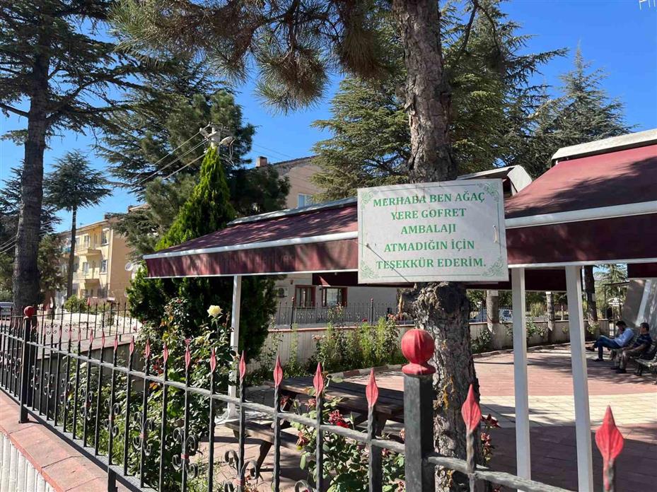 Ağaçlarda çevreye duyarlılık mesajları