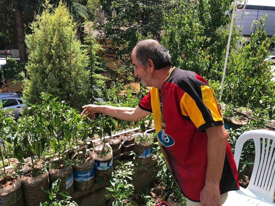 Eskişehirli esnaf iş yerinin balkonunu bahçeye çevirdi