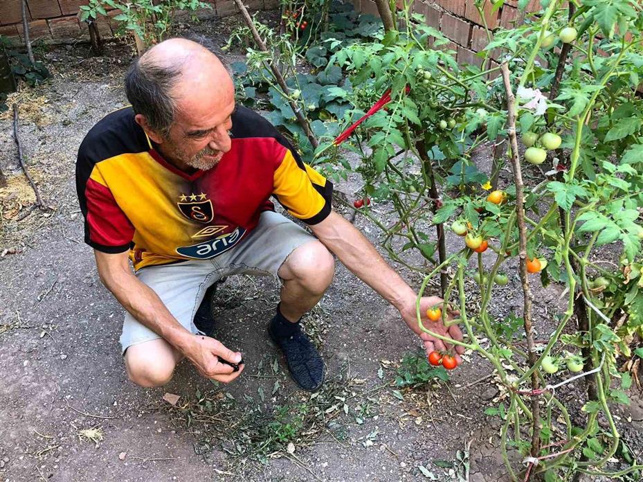 Eskişehirli esnaf iş yerinin balkonunu bahçeye çevirdi