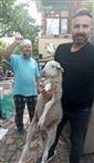 Kaybolan kuzuyu 2 gün misafir edip sahibine ulaştırdı