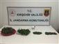 Kırşehir’de uyuşturucu operasyonu: 4 tutuklama