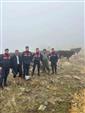 Hayvanları kaybolan kişinin imdadına jandarma yetişti