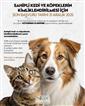Niğde Belediyesi’nden kedi ve köpek sahiplerine uyarı: Son başvuru 31 Aralık 2025