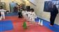 Porsuk Spor Salonu’nda taekwondo eğitimleri aralıksız sürüyor